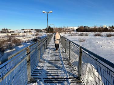 Nordic Walking Poles Transform Your Daily Walks Into Full-Body