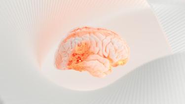 Nootropic Nutrition: Foods That Boost Focus and Mood Naturally