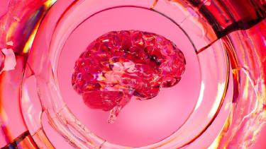 Creatine for Women: Brain Health and Longevity Benefits