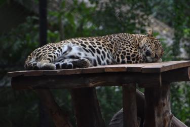 Why Rest Days Matter More Than You Think