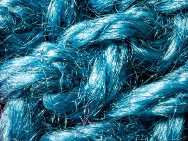 Fibermaxxing: The TikTok Trend Backed by Actual Science