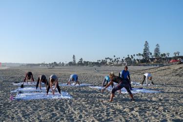 Sandbag Training Hits Mainstream: The New Functional Fitness Essential