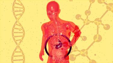 Fibermaxxing Your Diet: The Gut Health Trend Taking Over TikTok