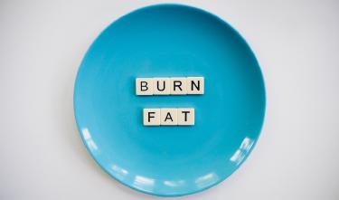 Zone 2 Cardio: The Fat-Burning Steady-State Trend