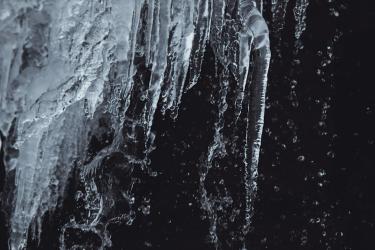 Cold Plunge Science: What Research Actually Says About Ice Baths